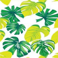 green monstera pattern white background. exotic pattern with tropical leaves. Vector illustration. monstera leaf pattern. Tropical palm leaves. Exotic design fabric, textile print, wrapping paper