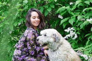 Portrait of beautiful young woman with South Russian Shepherd Dog on a background of summer park with blooming lilac bushes. photo