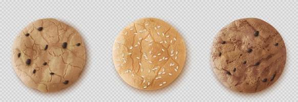 Chocolate drop cookies realistic vector, biscuit vector