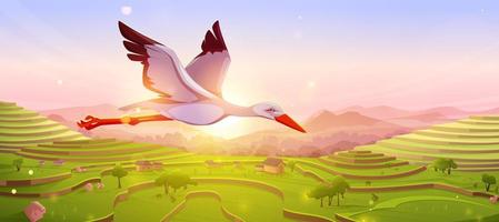 White stork flying in sky at sunset or sunrise vector