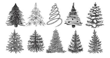 Christmas tree hand drawn illustration. Vector. vector