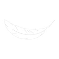 feather logo vektor vector