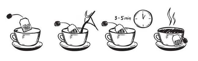 Steps how to brew tea. Vector illustration hand drawn style isolated on white background.