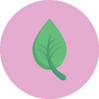 leaf vector illustration on a background.Premium quality symbols.vector icons for concept and graphic design.