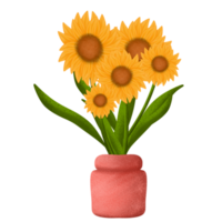 Sunflower in the pot png