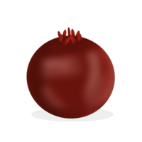 Pomegranate with shadow illustration png