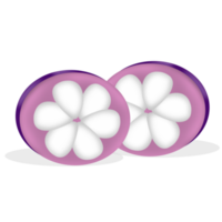 Mangosteen slices with shadow png