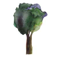 árvore com ilustração em aquarela de folhas verdes png