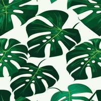 patrón de monstera verde fondo blanco. patrón exótico con hojas tropicales. ilustración vectorial patrón de hoja de monstera. hojas de palmeras tropicales. tela de diseño exótico, estampado textil, papel de regalo vector