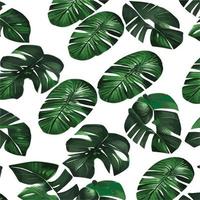 patrón de monstera verde fondo blanco. patrón exótico con hojas tropicales. ilustración vectorial patrón de hoja de monstera. hojas de palmeras tropicales. tela de diseño exótico, estampado textil, papel de regalo vector