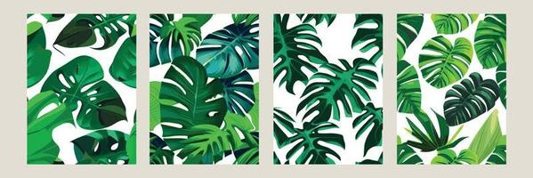 green monstera as a pattern on a white background. exotic pattern with tropical leaves. Vector illustration. set of square posters