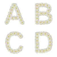 Letters made of tropical flowers frangipani isolated ,ABCD photo