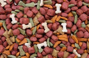 dog food background photo