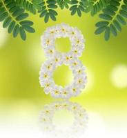 Numbers eight made of tropical flowers frangipani on natural background photo