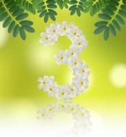 Numbers three made of tropical flowers frangipani on natural background photo