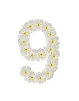 Numbers nine made of tropical flowers frangipani isolated on white photo