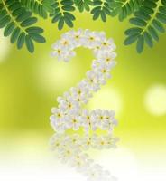 Numbers two made of tropical flowers frangipani on natural background photo