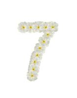 Numbers seven made of tropical flowers frangipani isolated on white photo