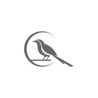 Magpie logo icon illustration design vector