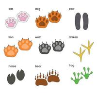 Set of different colored paws of animals. Vector illustration