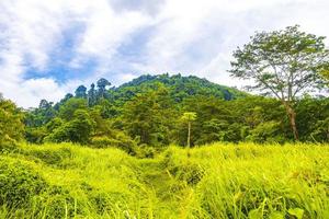 Beautiful natural landscape and tropical forest Phuket island Thailand. photo