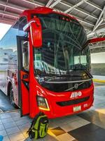 Playa del Carmen Quintana Roo Mexico 2022 Various colorful buses bus Playa del Carmen Mexico. photo