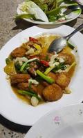 Deep fried tofu with chicken, spring onion and red chili on white plate or dish at local Thai restaurant. Asian food photo
