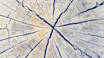 Cracked wooden background for wall in vintage tone. Pattern line of wood wallpaper or surface table. photo