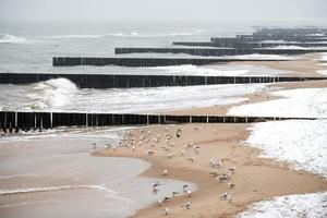 Old long wooden breakwaters in sea waves, winter landscape photo