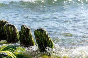 Old wooden posts overgrown seaweed. Broken wooden pier remains in sea. Beautiful water color under sunlight. Tide and sea spray. photo