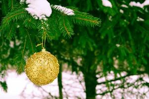 Beautiful festive elegant yellow, golden round balls, Christmas decorations for the new year, Christmas hanging on fir branches against the background of white snow in winter photo