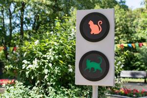 Traffic light with cats. Funny traffic light concept for children and parents in city garden. Green light on photo