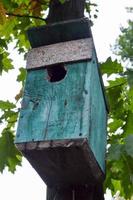 Turquoise birdhouse on a background of green leaves and sky. photo