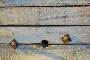 there are metal nails on a wooden base. there is an empty hole in the center. details at the construction site, the creation of a new residential complex. sawdust on a piece of wood photo