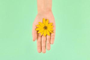 flor amarilla en la palma femenina, mano hamsa fatima, concepto cosmético de cuidado de la piel, símbolo de naturaleza pura foto
