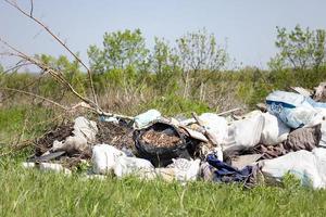 vertedero de basura en el campo. contaminación ambiental. problemas globales de la humanidad