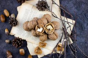 a group of walnuts on a dark background, a concept for the winter season. photo