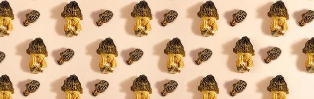 mushroom pattern. Seamless background of wild morel mushroom. Vegetarian concept. photo