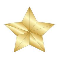 Golden Gold Star gardenie Design Illustrator vector