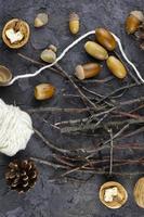 walnuts, acorns on a beautiful background, winter concept. photo