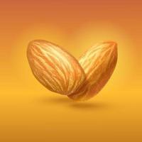 Almond on isolated gold background. Realistic vector illustration. Nuts on brown background. Photorealistic vector illustration for design of packing, labels, cards, printing.