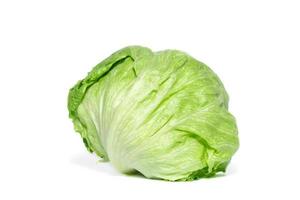 Green Iceberg lettuce on White Background photo