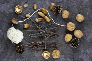 walnuts, acorns on a beautiful background, winter concept. photo