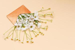 Small white flowers fly out of a small envelope on a beige pastel background. photo