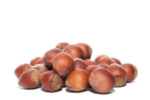 Fresh hazelnut isolated on white background photo