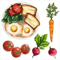 Healthy plate with egg, toast with butter, spinach and tomatoes. Ingredients carrot and radish vector