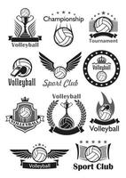 conjunto de iconos de vector de premios de club deportivo de voleibol