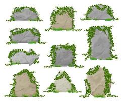 Cartoon stone boards in ivy leaves, rock blocks vector