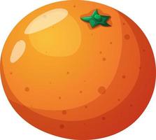 Bright orange, citrus in cartoon style vector