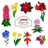 Flower icon of spring garden flowering plant vector